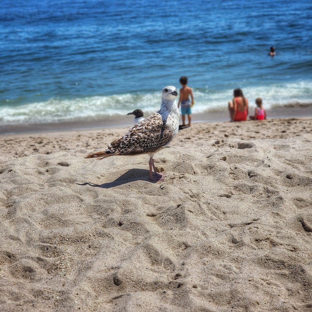 Point Pleasant Beach 3