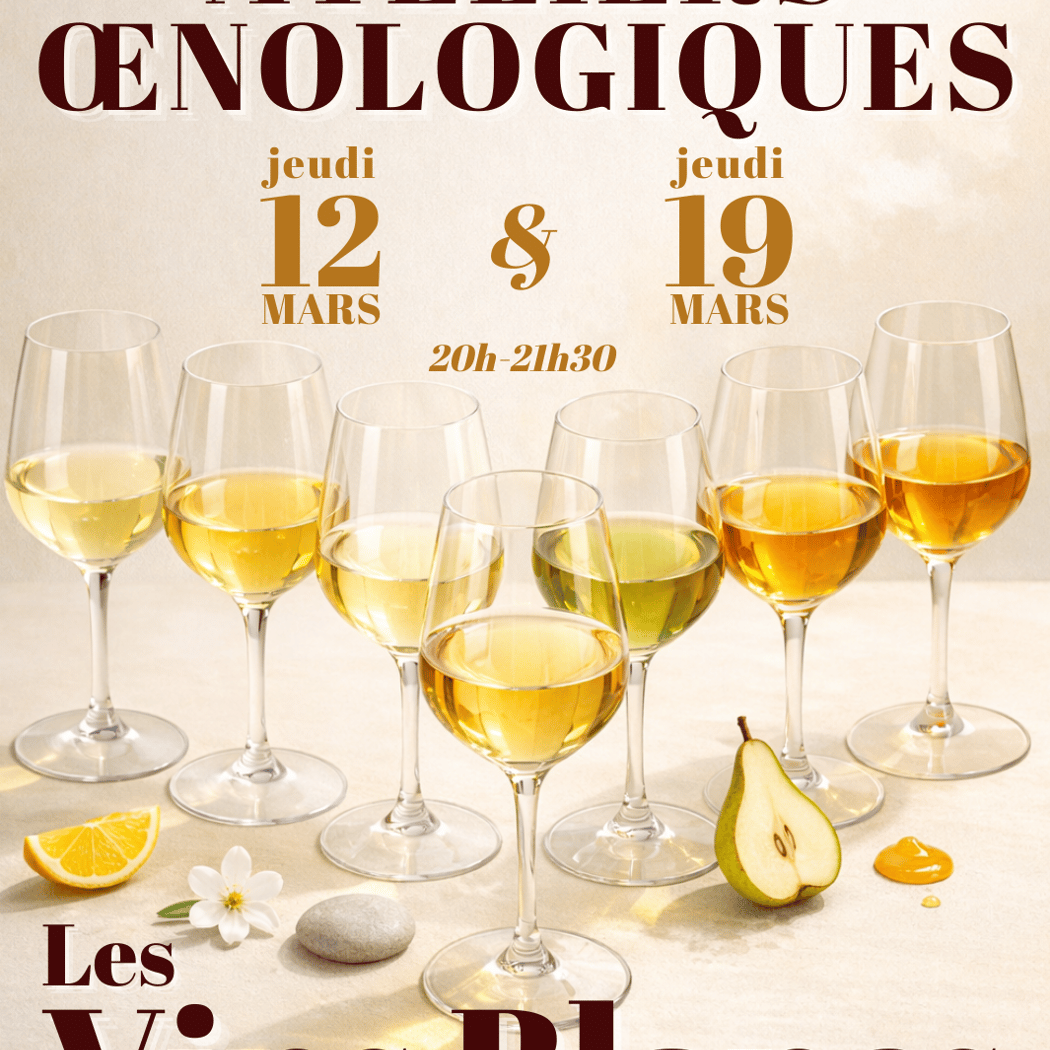 dégustations vins 1