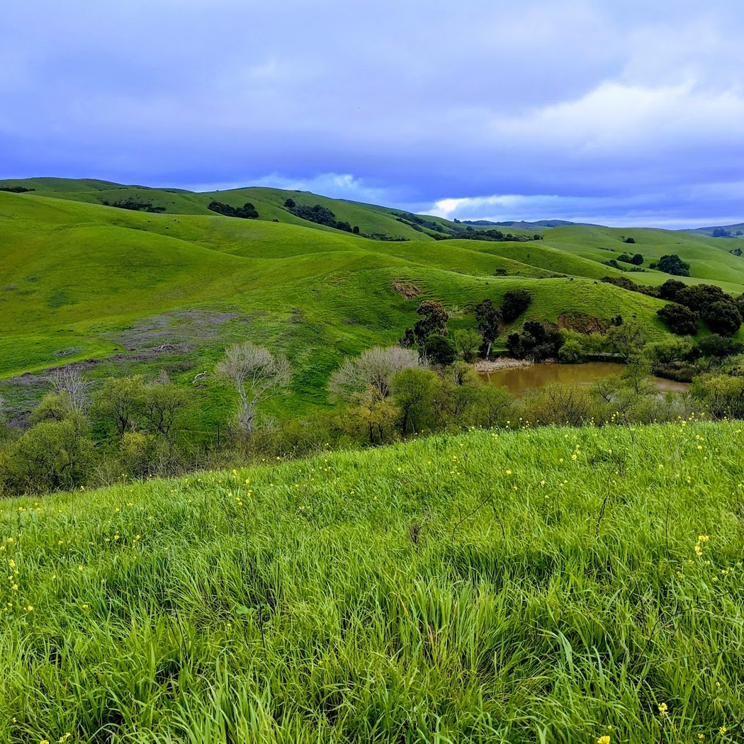 Garin Regional Park 1