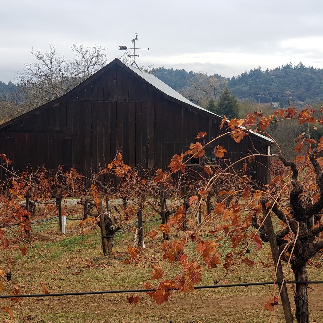 Dry Creek Valley AVA 3