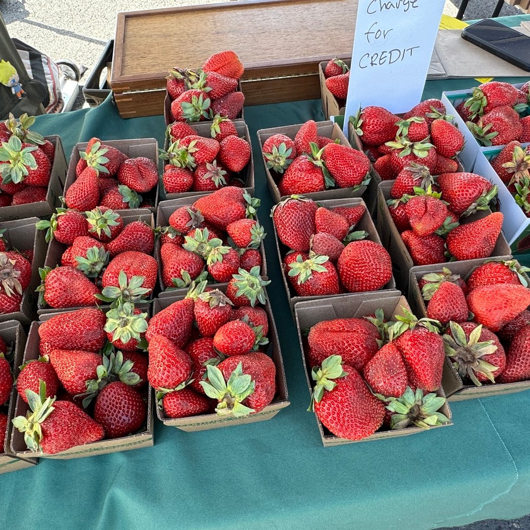 Stony Point Strawberry Farm 3