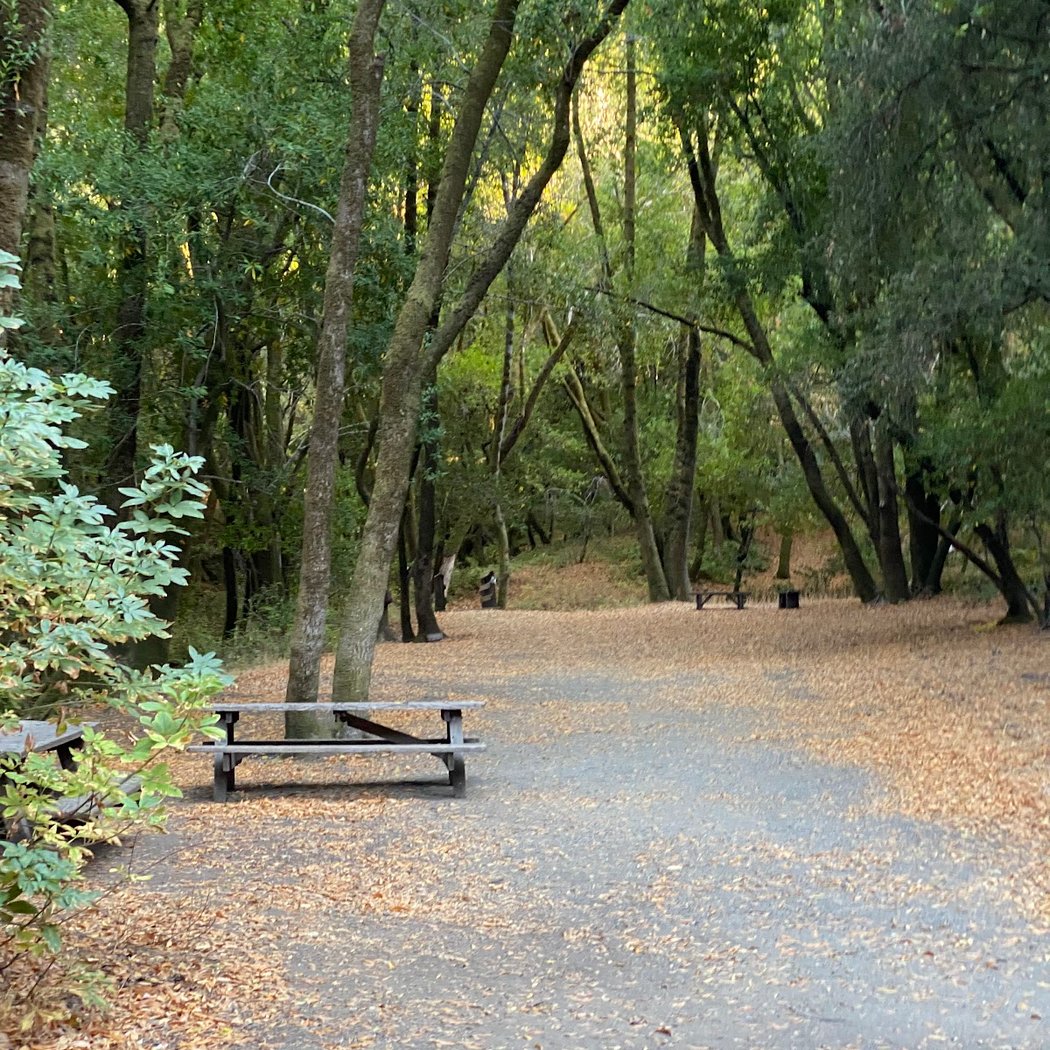 Hidden Villa Hiking Trails 3