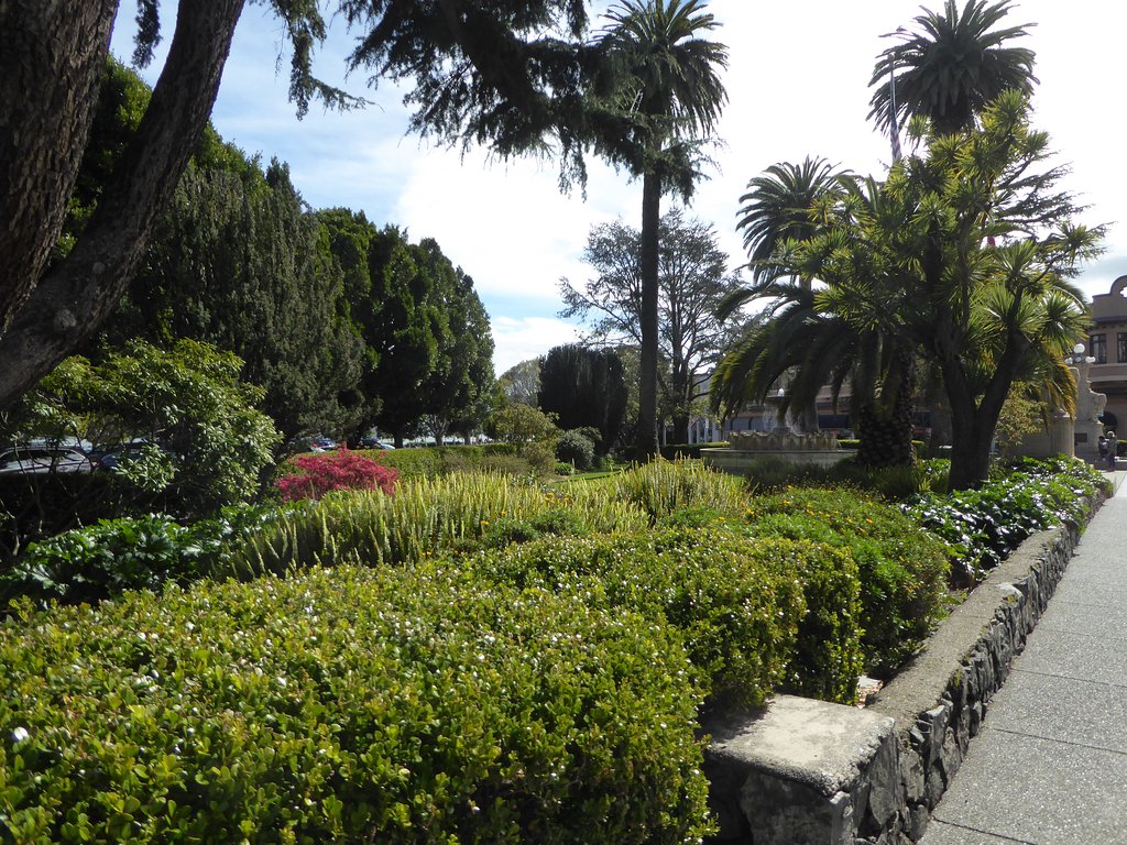 Viña del Mar Park 2