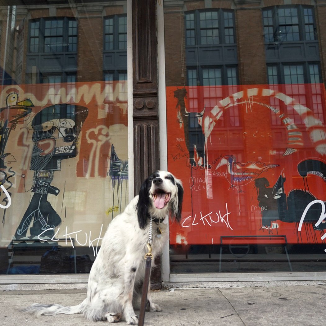 Gallery 23 NY 3