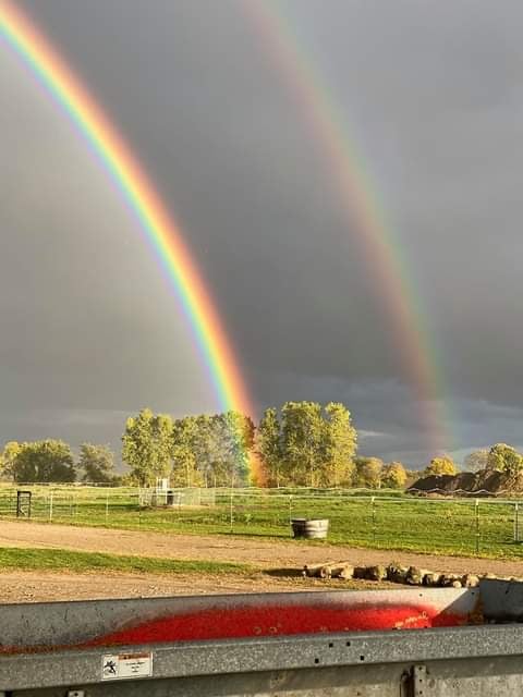 Day Acres Farm 4