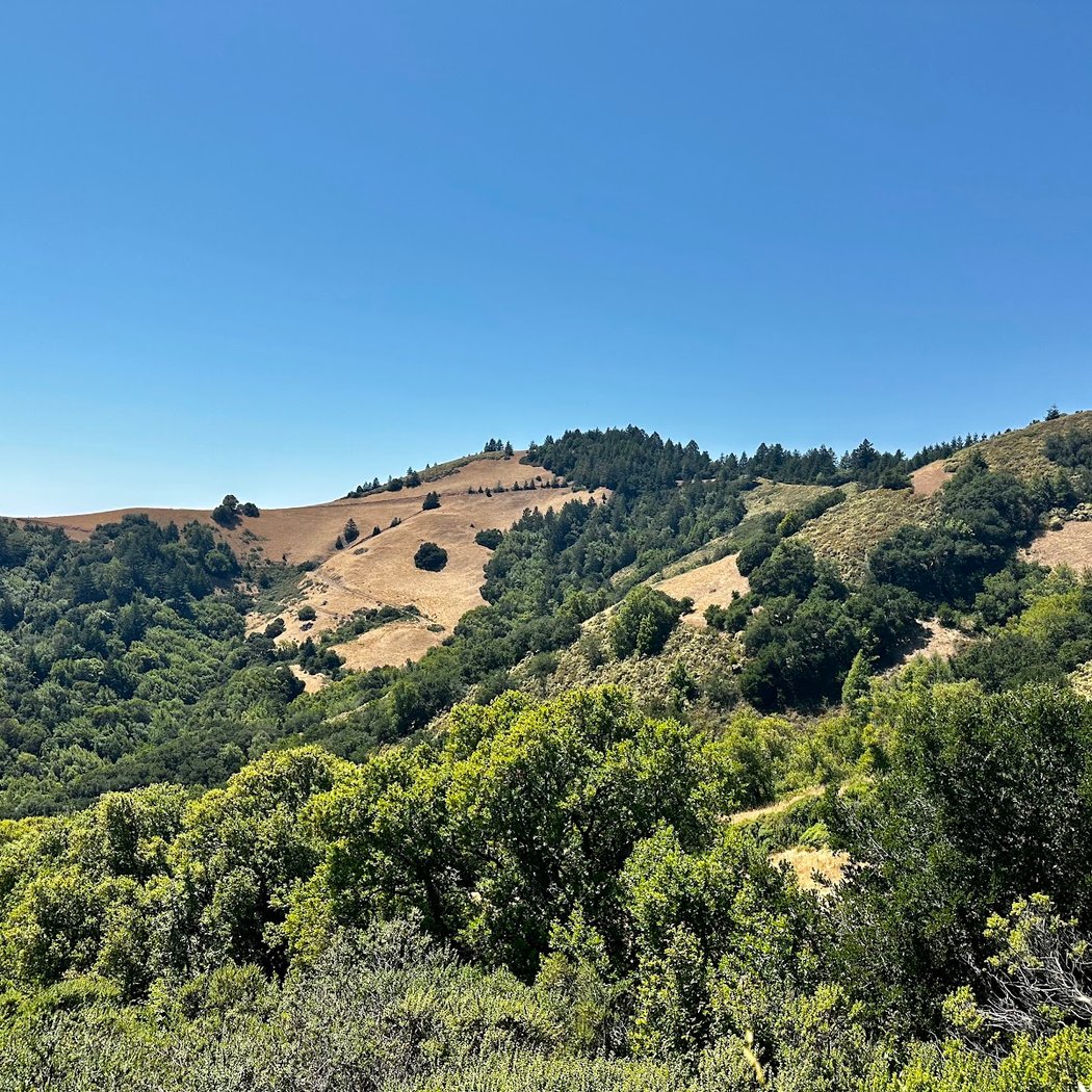 Big Rock 3