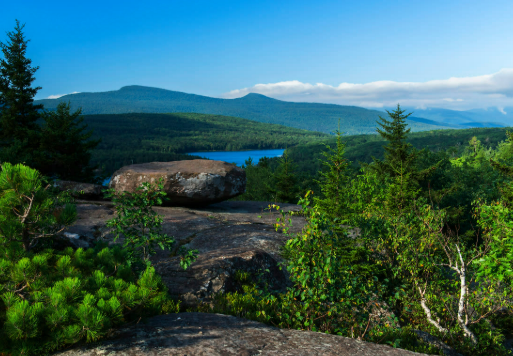 Catskill Park 1