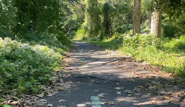 Kissena Corridor Park 2