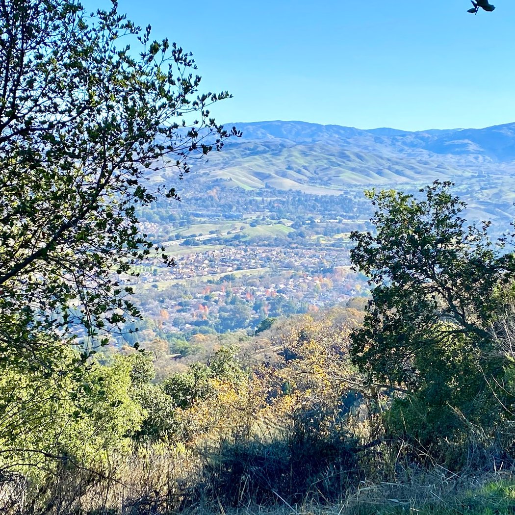 Castleridge Trailhead -- Pleasanton Ridge Regional Park 3