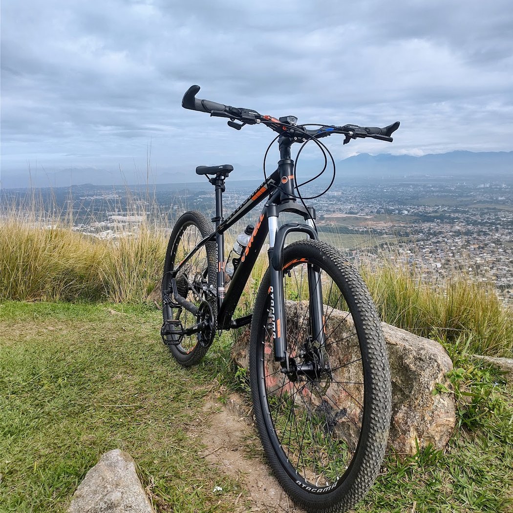 Swell Bicycles 3