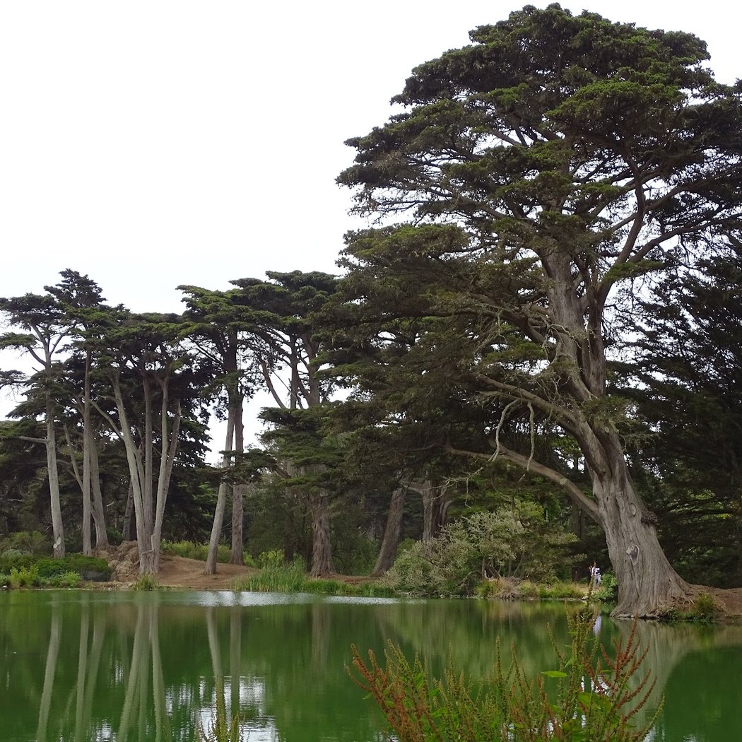 Metson Lake 2