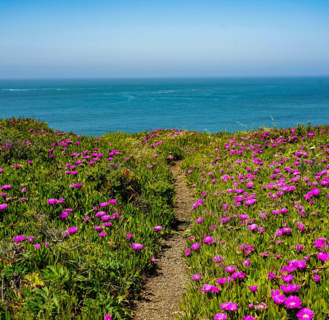 South Rodeo Beach 1
