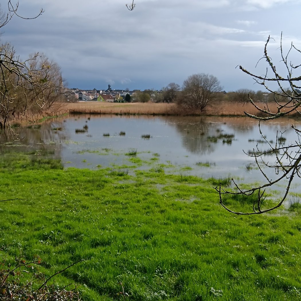 Port Launay 2