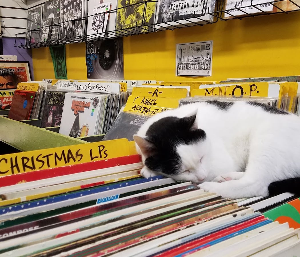 Last Vestige Music Shop 1