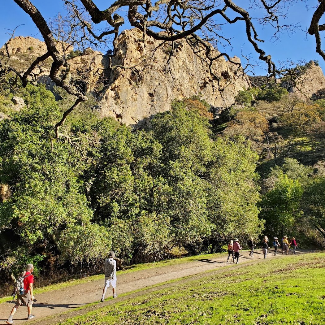 Pine Canyon 1
