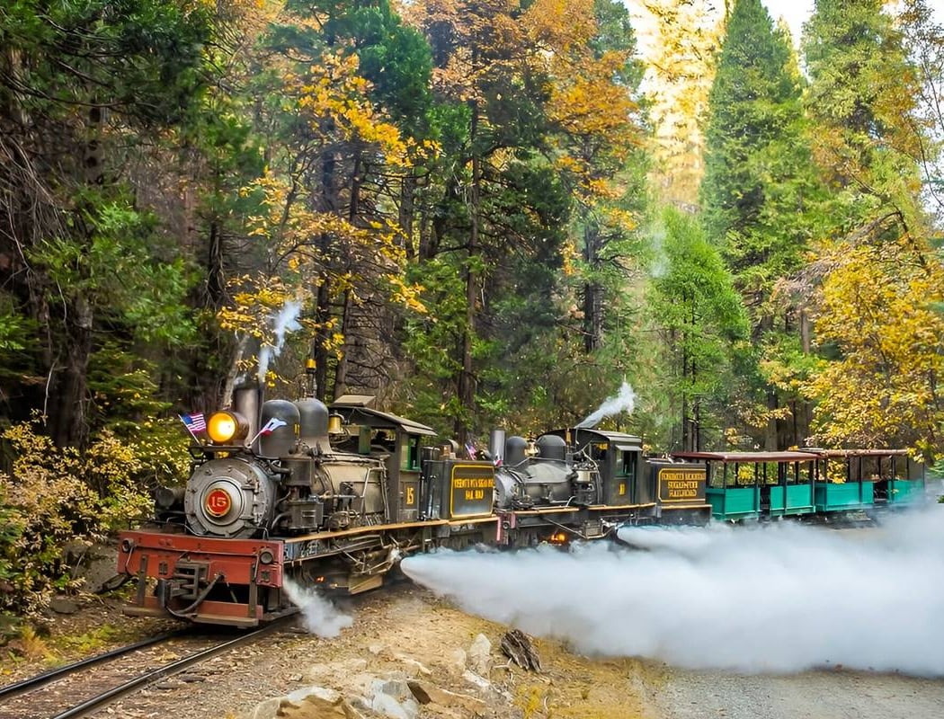 Logger Steam Train