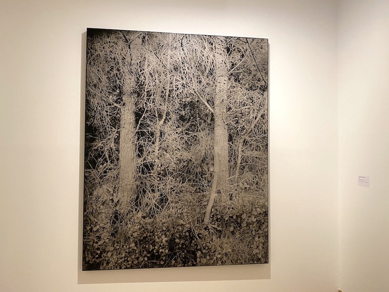 Exposition Gérard Traquandi « Ici, Là » 3