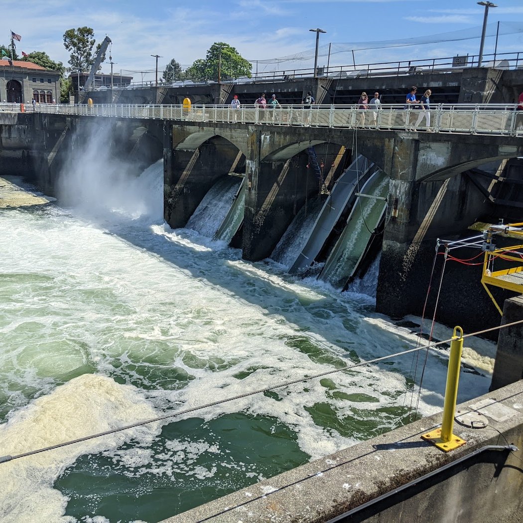 Ballard Locks Free Public Tours 1