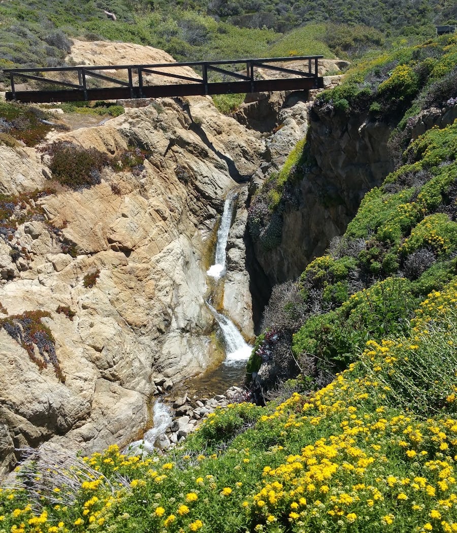 Garrapata State Park 3