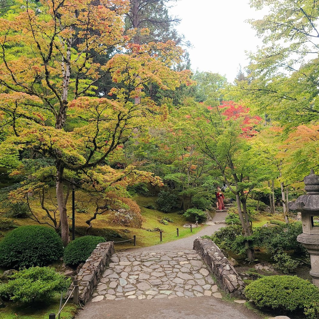 Hatsumomiji 3