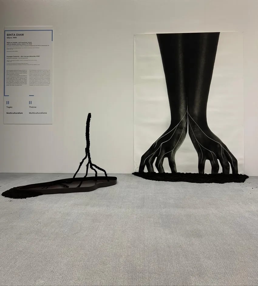 Arte italiana e Diritti Umani 1