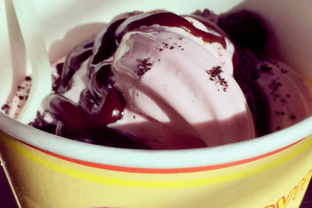 Honeymoon Frozen Yogurt 2