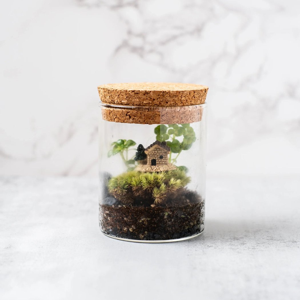 Make a Mini Terrarium – Team & Private Group Workshop 3