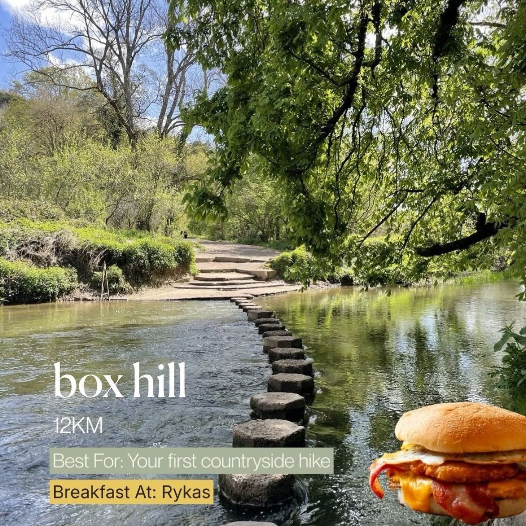 Rykas Boxhill 1