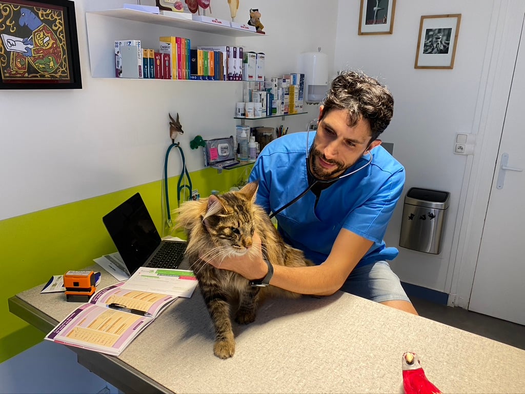 DOMVET - VETERINARY CLINIC 3