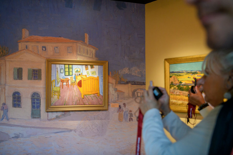 Van Gogh, the final journeys exhibition 1