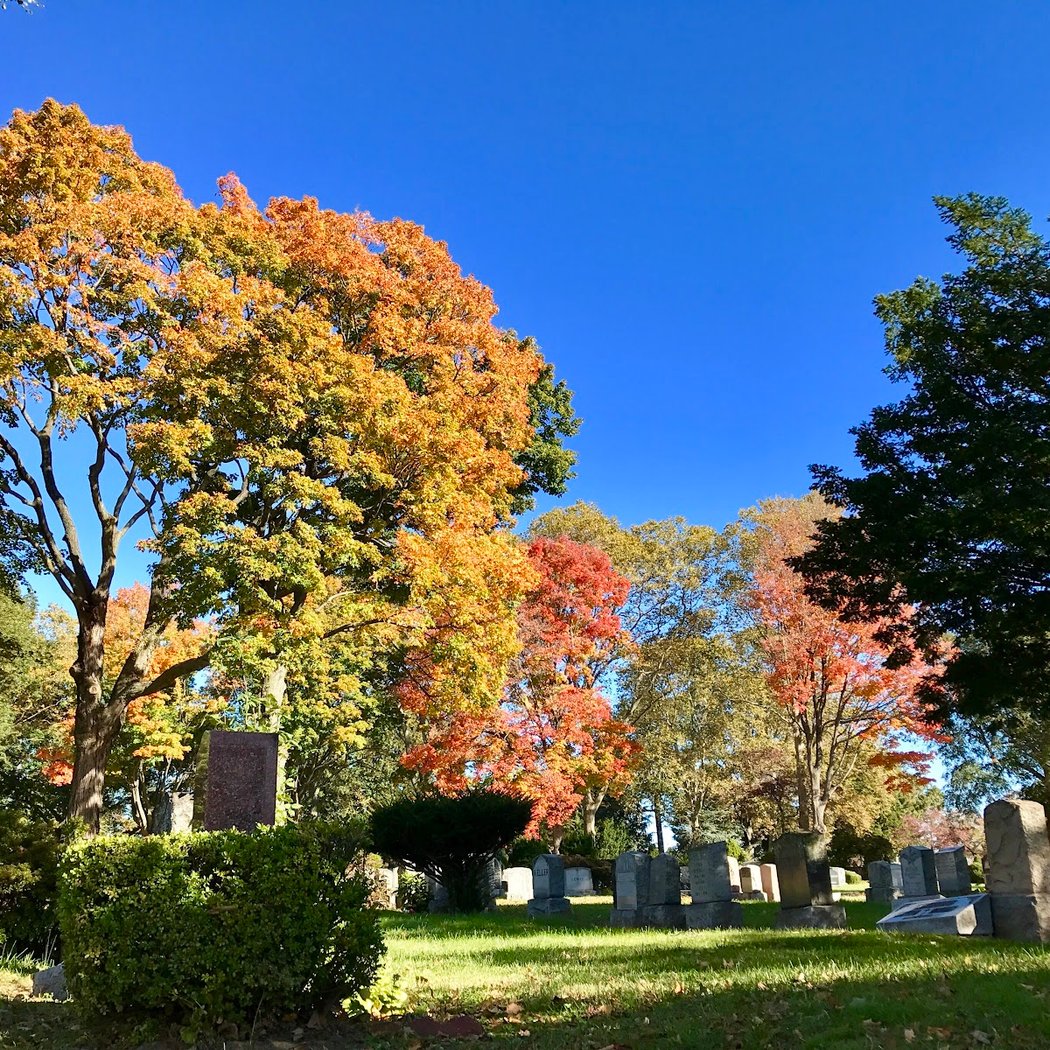 Flushing Cemetery 1