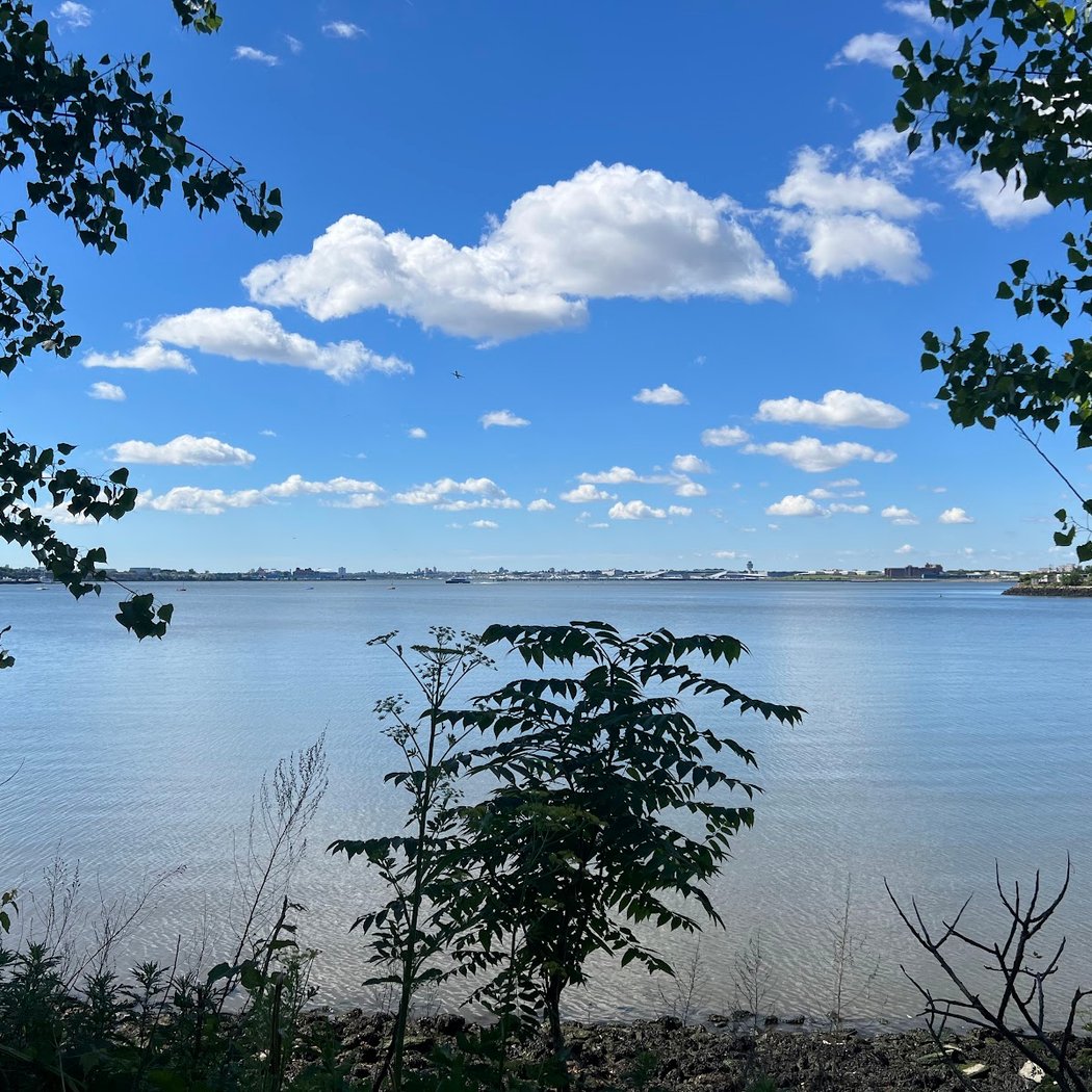 Birding Soundview Park 1