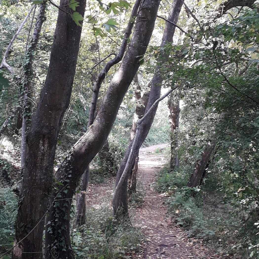 Espace naturel sensible du Lutin 3