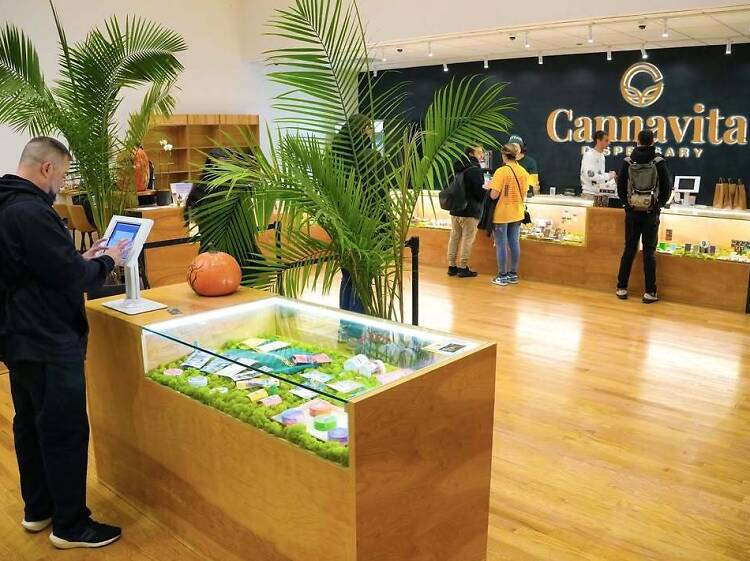 Cannavita Gallery Exhibition & Game Night 1
