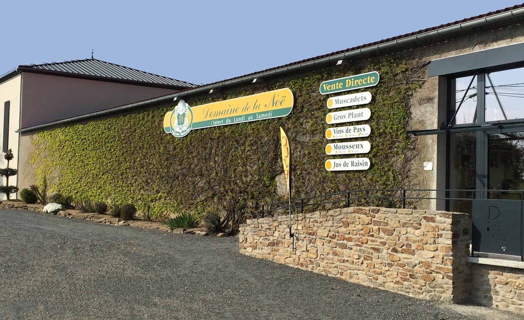 Marche et dégustation au domaine 3