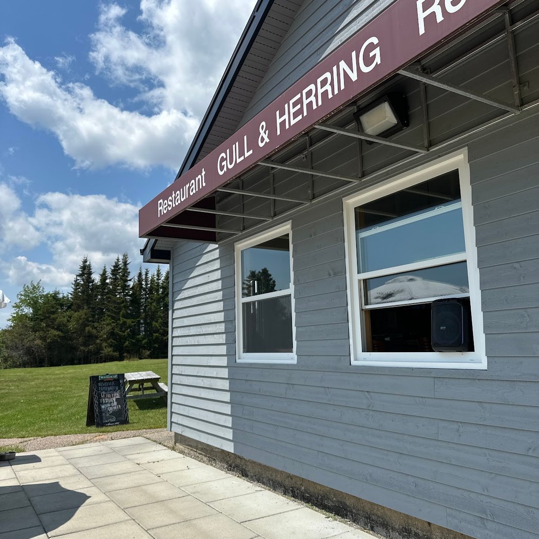 Gull & Herring (New River Take Out) 3