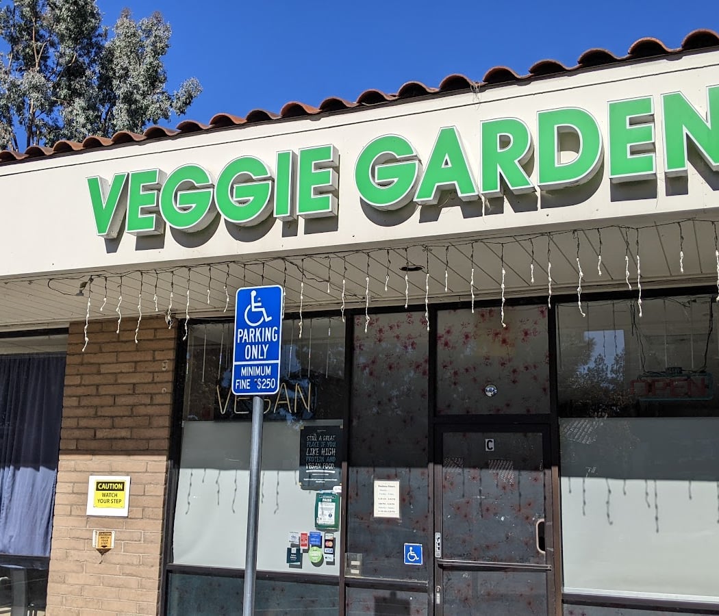 Veggie Garden 2