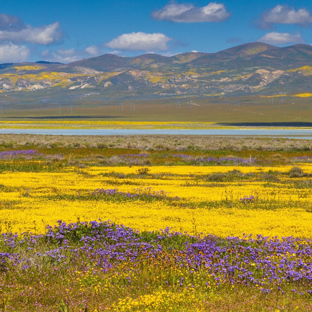 Carrizo Plain National Monument 1