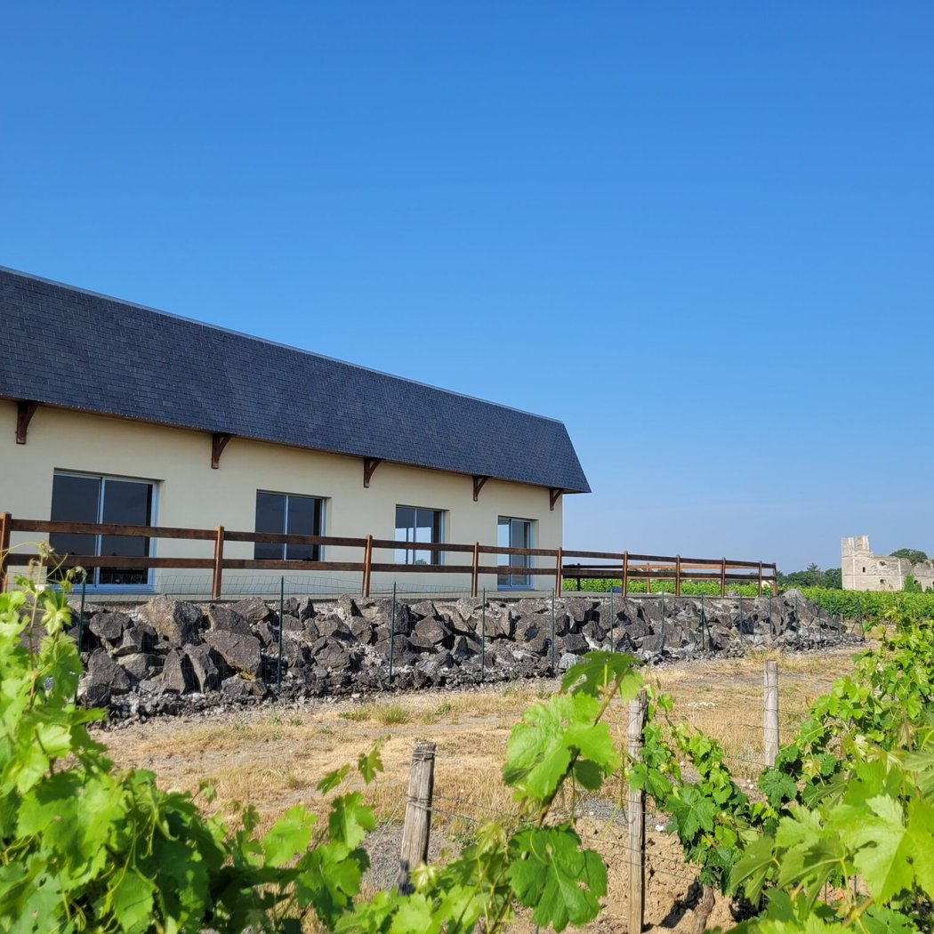 Domaine DELAUNAY - Vignoble et Verger en Anjou (entre Angers et Nantes) 1