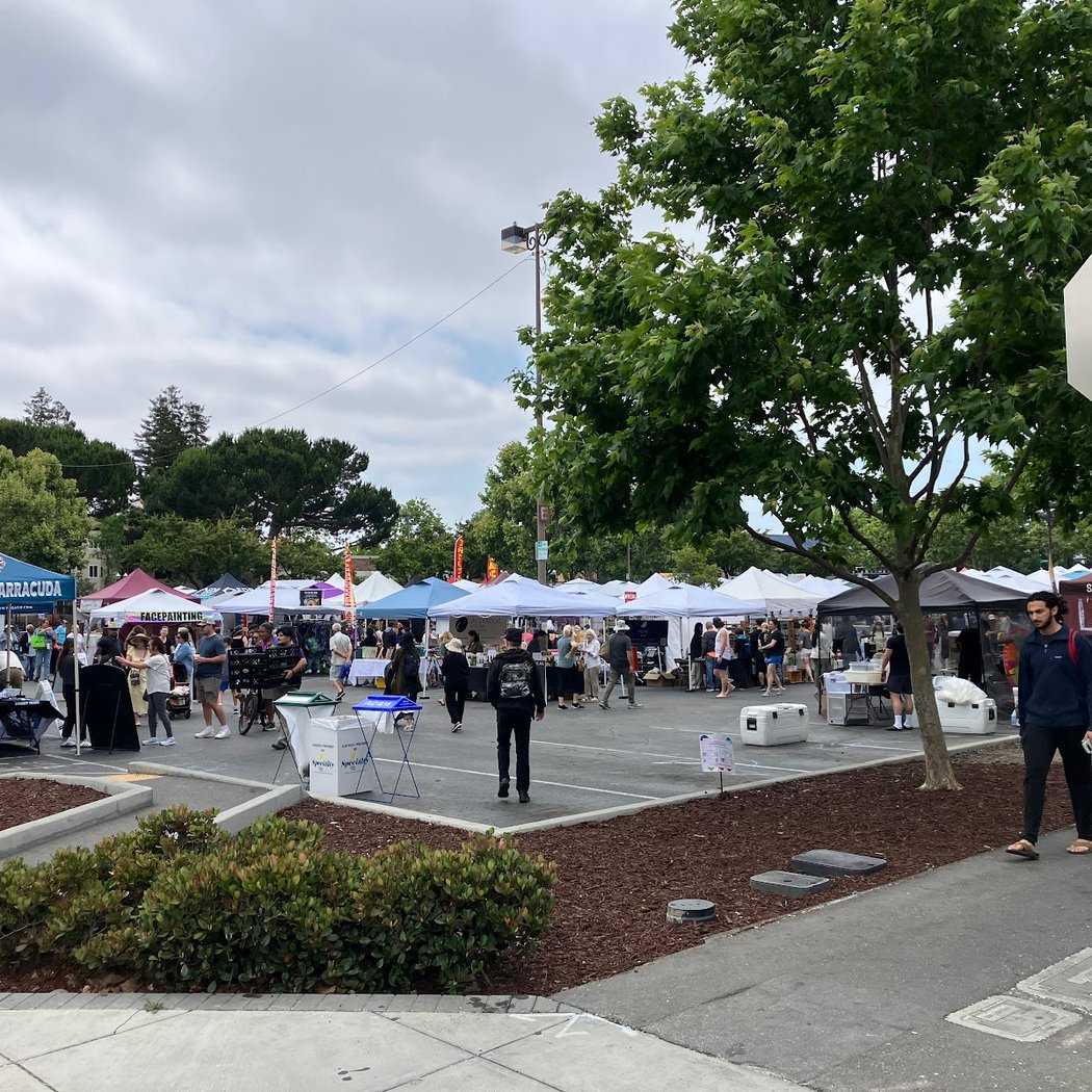 Sunnyvale Art & Wine Festival 3