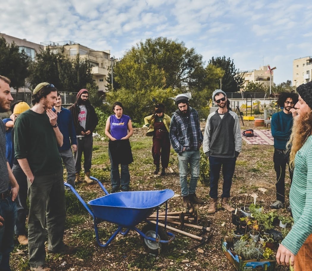 Green Lake Food Forest Work Party 2