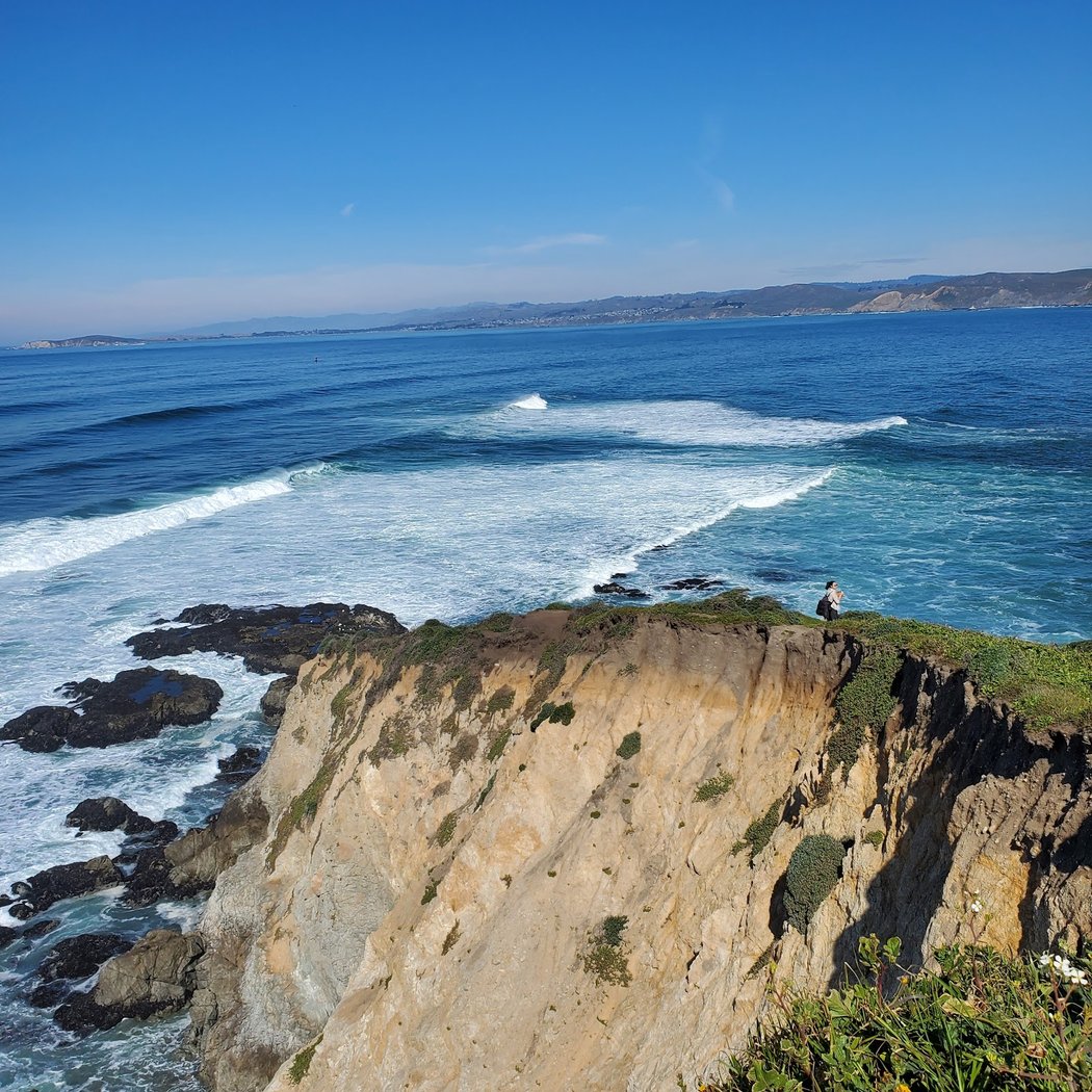 Tomales Point 5