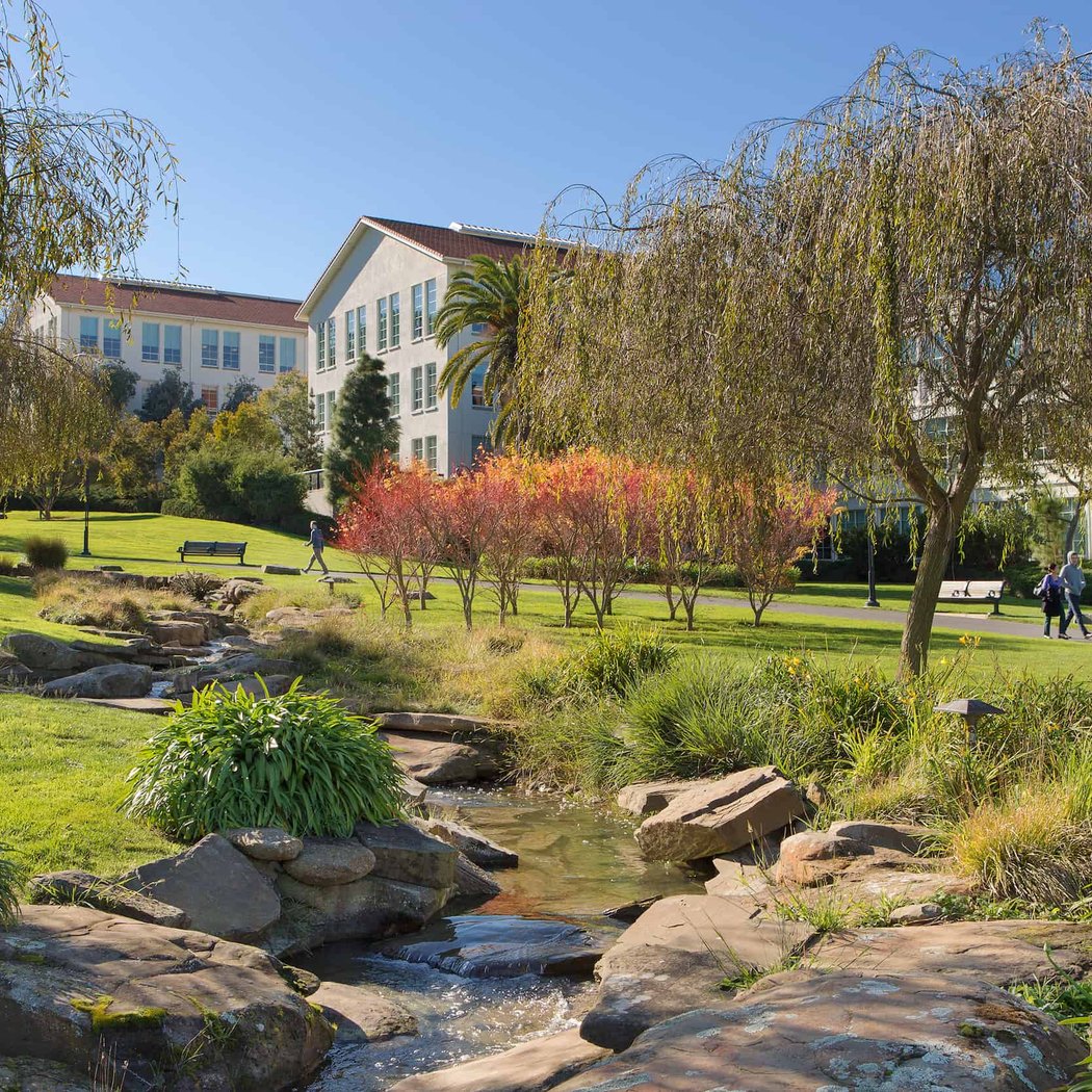 Lovers’ Lane at the Presidio 2