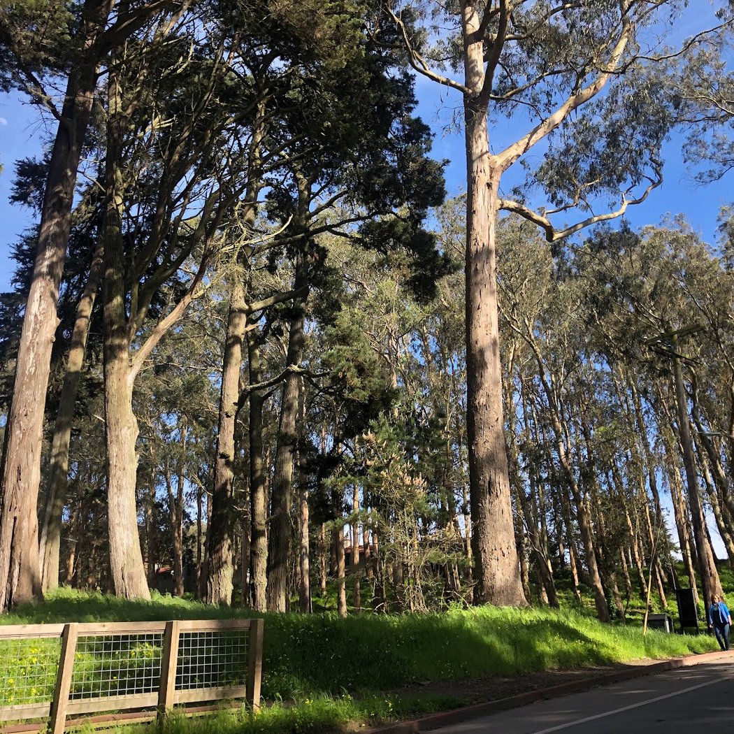 Presidio Amatury Park 3