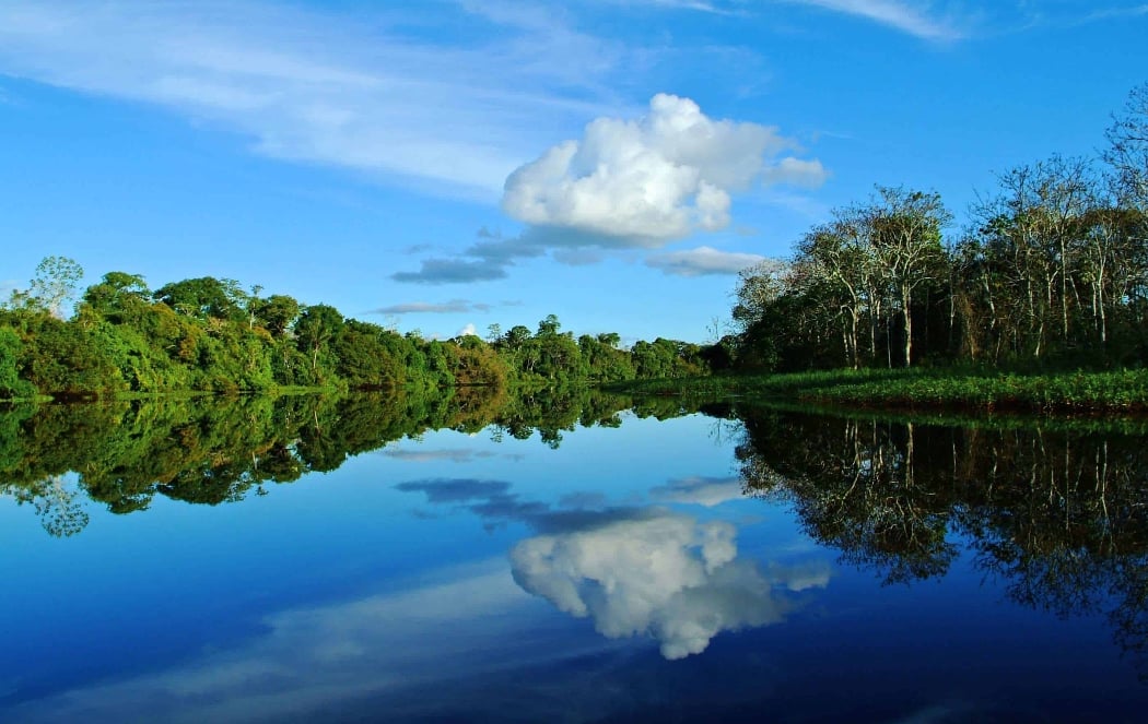 Amazon River 3