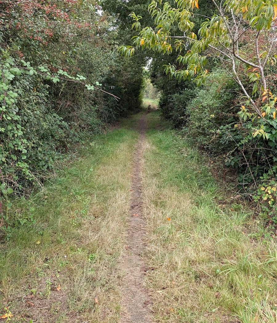 Chemin des Bélians 1