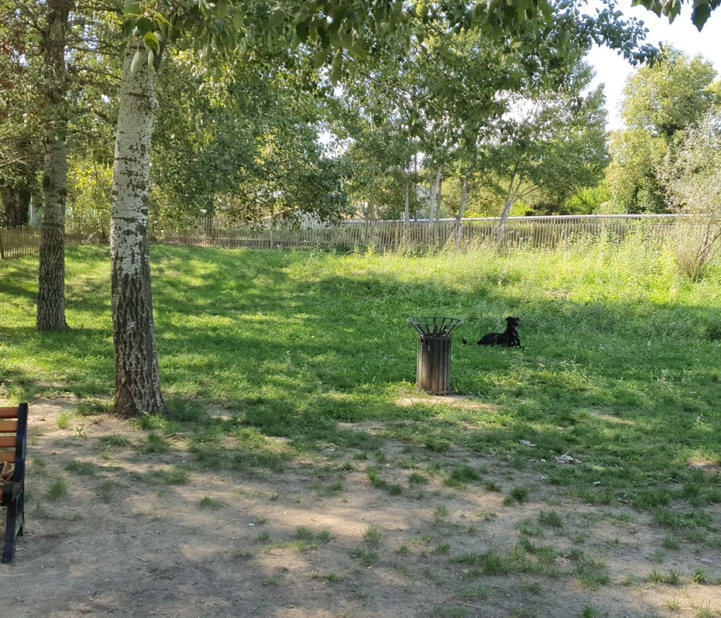 Parc à chien de la Lironde 1
