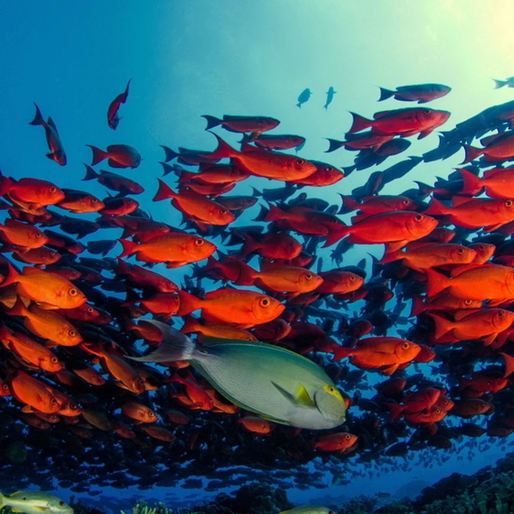 Fakarava Atoll 1