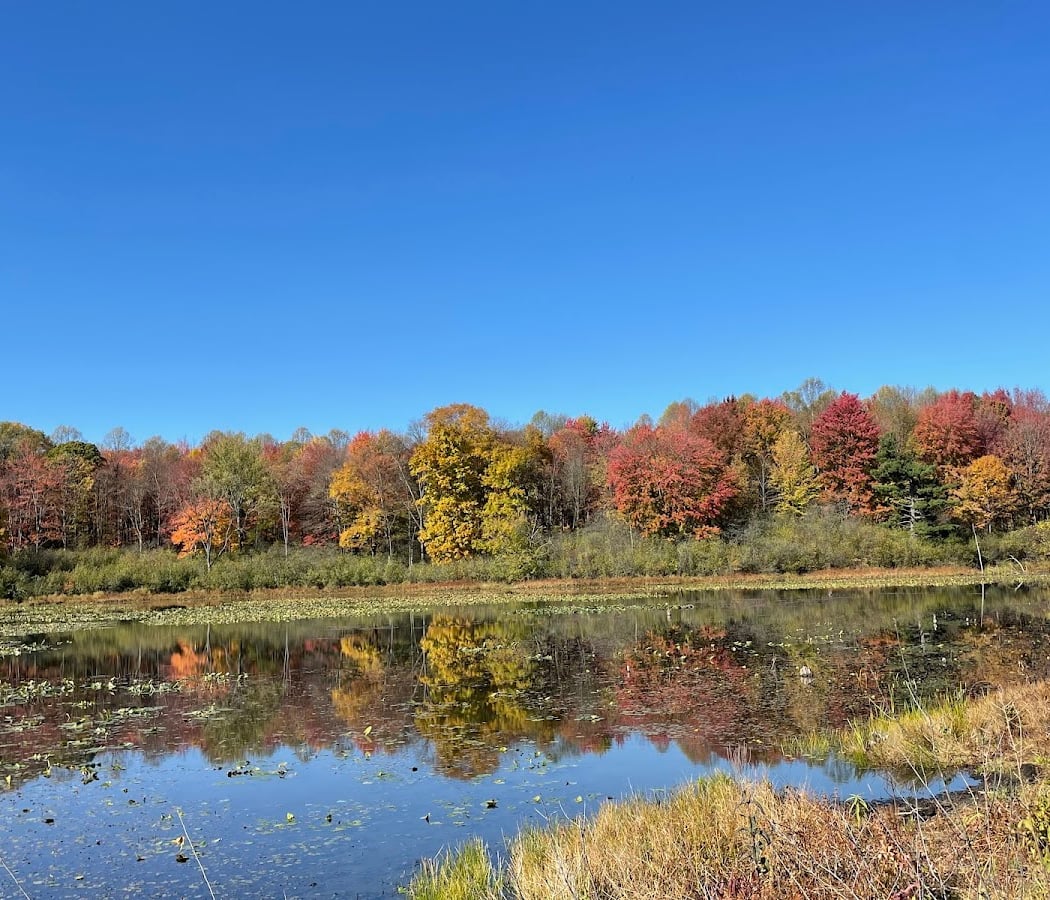 Aurora Sanctuary State Nature Preserve 1