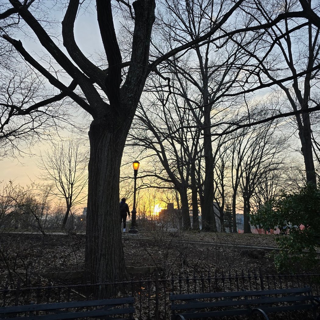 Mt Prospect Park Playground 3